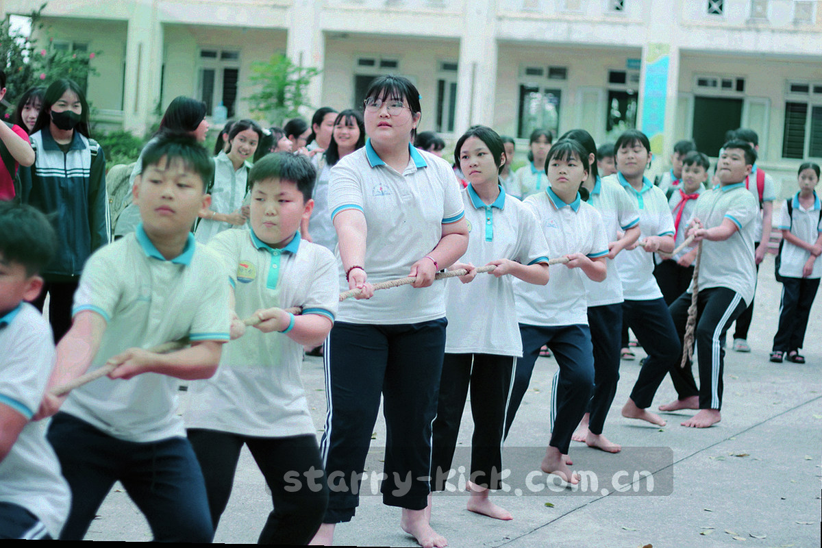 两枚切角指标卡并排，内部为等宽数字与横向占比条，青色与暖金形成对比